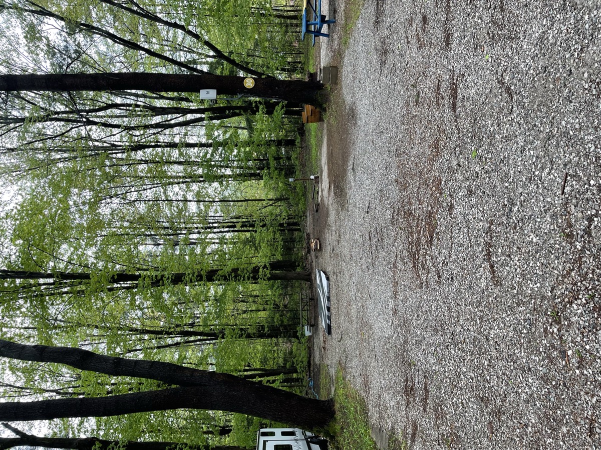 Muskoka Falls Trailer Park