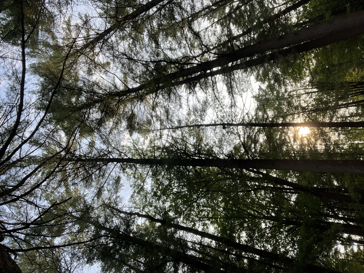 Muskoka Falls Trailer Park