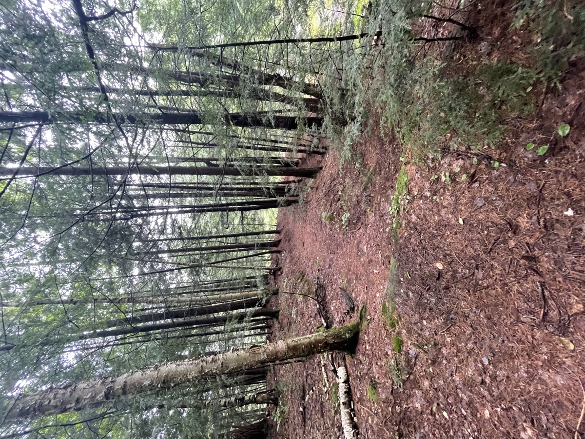 Muskoka Falls autumn scenery