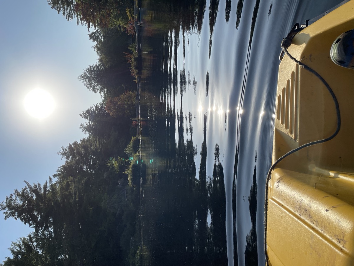 Muskoka Falls Trailer Park