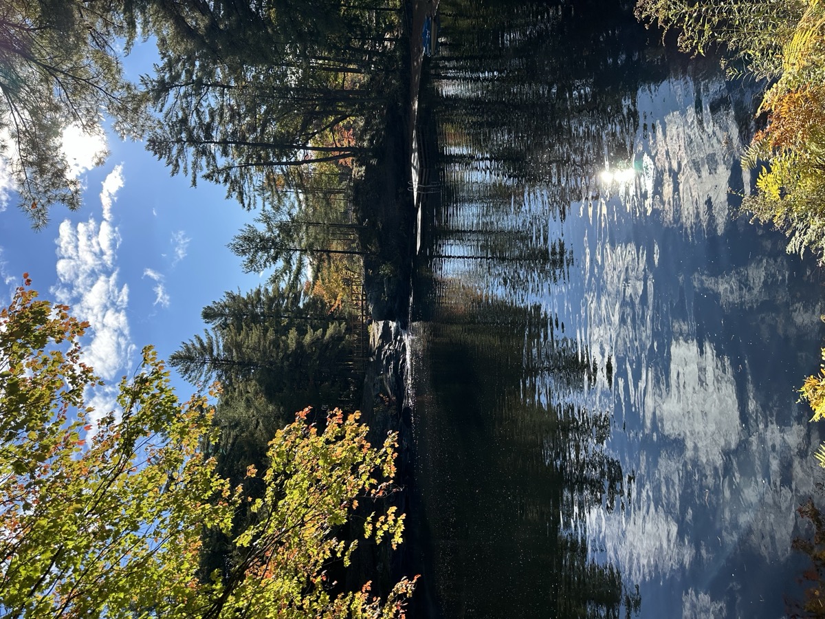 Muskoka Falls Trailer Park