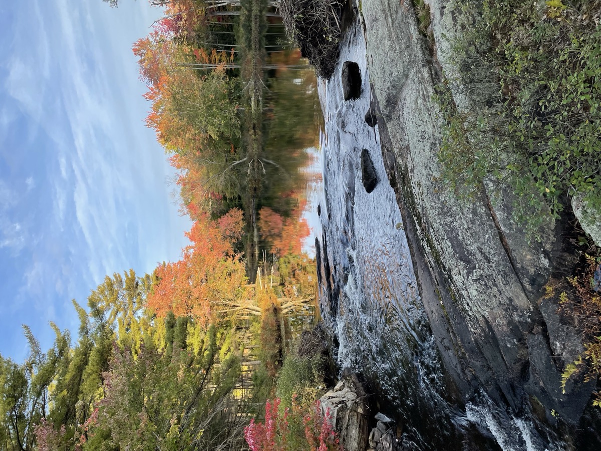 Muskoka Falls Trailer Park