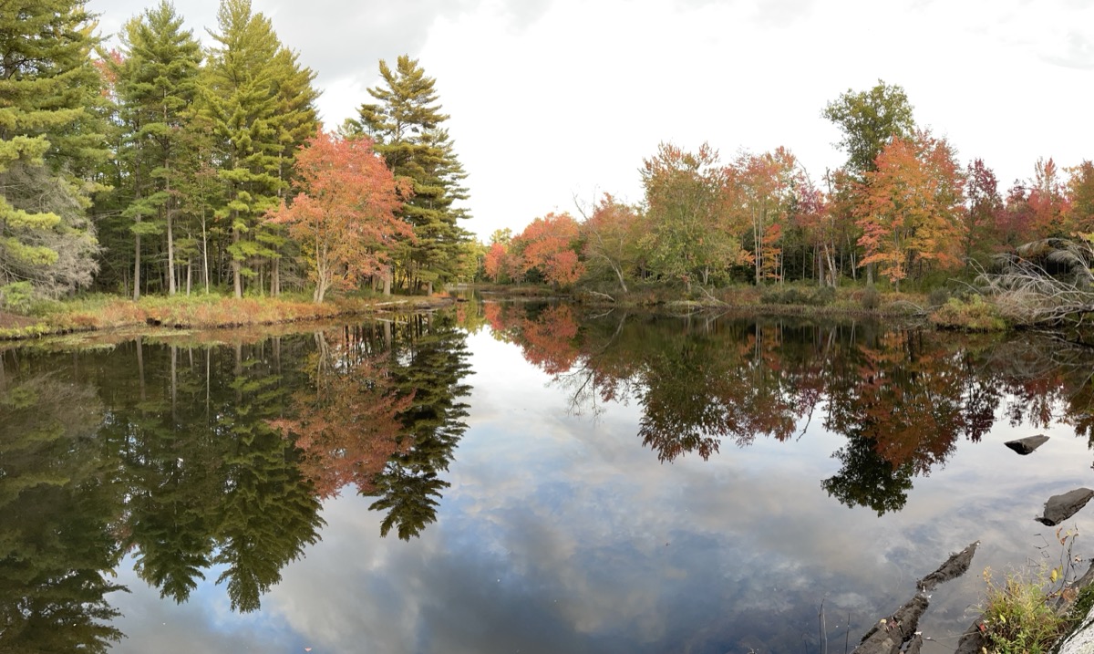 Muskoka Falls Trailer Park