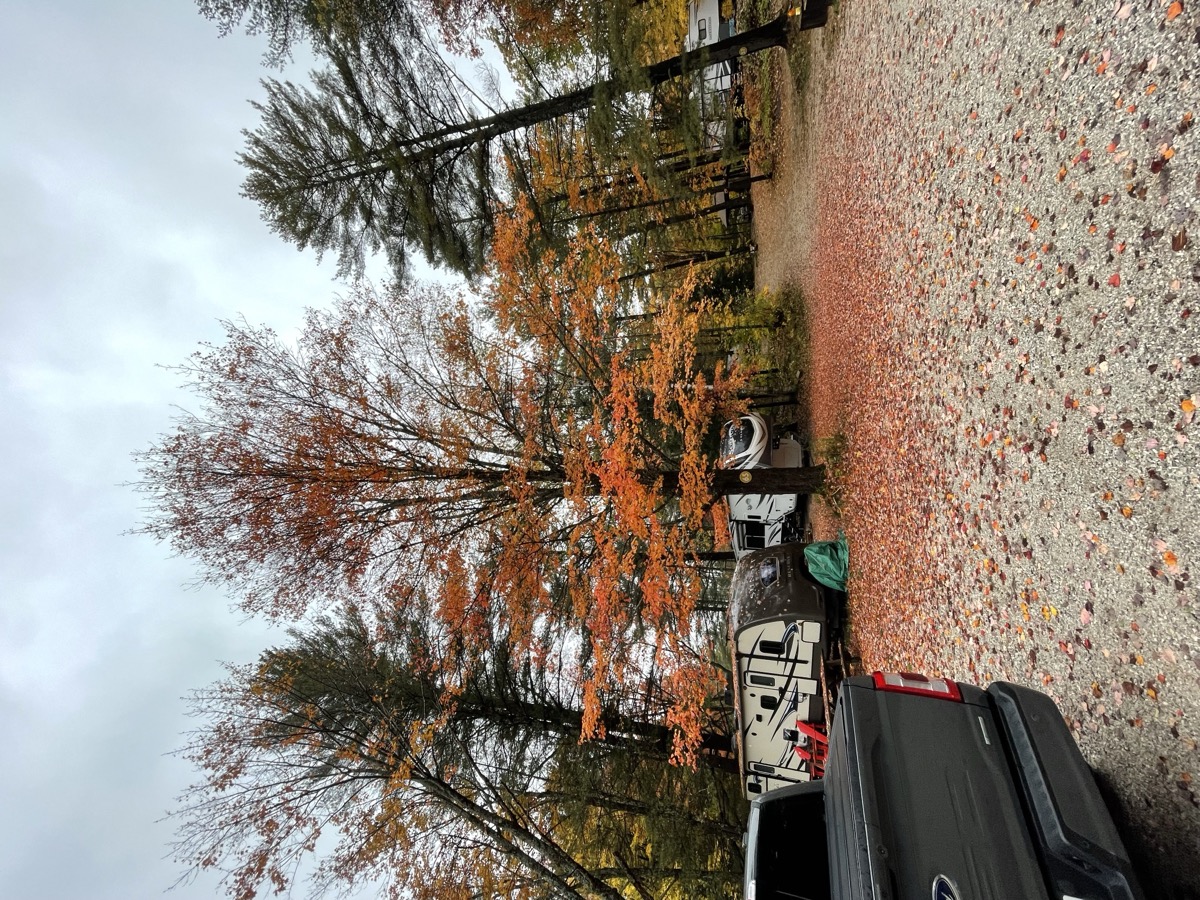 Muskoka Falls Trailer Park