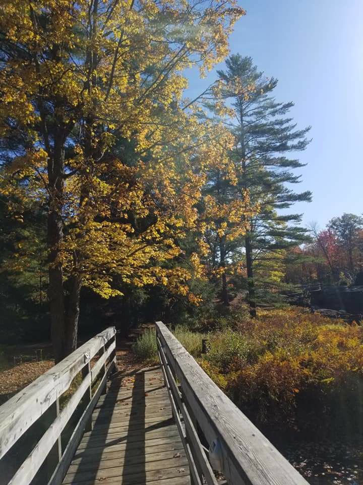 Muskoka trailer park