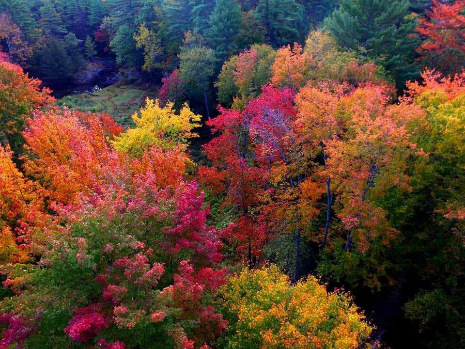 Gallery - Muskoka Falls Camp and Trailer Park